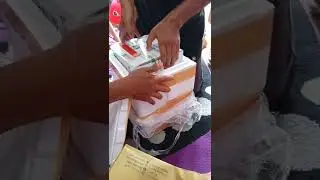 unboxing cambah bibit Sawit PPKS varietas Simalungun dan BP540