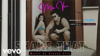 Mr Vin - Shake That