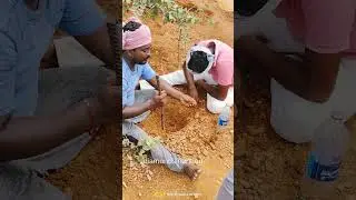 diamonds hunting in putlagudem