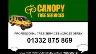 Derby Tree Surgeons in Derbyshire | Canopy tree Services 01332 875 869