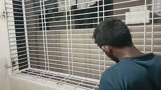 balkani grills