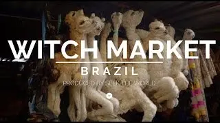 DRIED LLAMA FETUSES AT BOLIVIA'S WITCH MARKET
