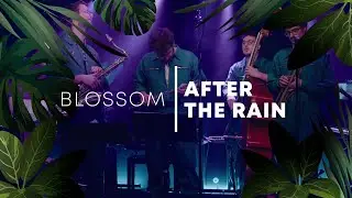 Blossom - After the Rain