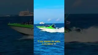 Скоростной спидбот в Таиланде