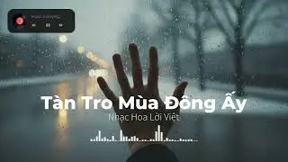 Tàn Tro Mùa Đông Ấy - Tình đơn phương dài như mùa đông thập niên 90. | Nhạc Hoa Lời Việt