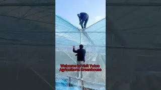 How to Install Yutuo Sawtooth Greenhouse? #greenhouse #sawtooth greenhouse #greenhouseconstruction