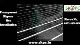 skpcindia II Transparent Pigeon Net Installation II