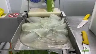 Unsere Produktion