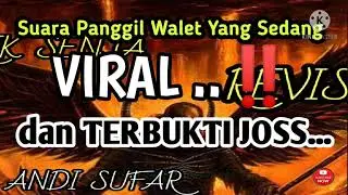 Suara Panggil Walet Yang Sedang VIRAL ‼️dan Terbukti Joss SP TARIK SENJA by Andi Sufar