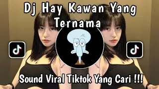 DJ HEY KAWAN YANG TERNAMA - SOUND VIRAL YG KALIAN CARI 