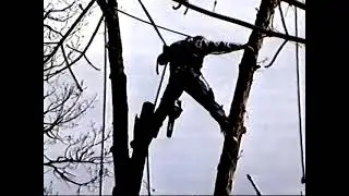 The End of Tree Time by David Savage 1994