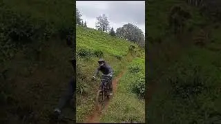 KTH AT, LB, OG downhill and semi downhill
