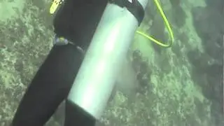 Divemaster, The Mapping Project - Movie