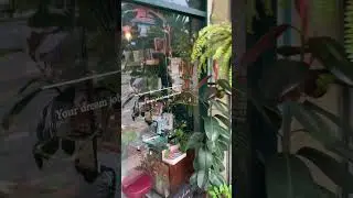 Bangkok Bookstore