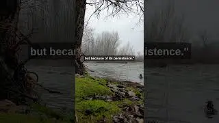 The Power of Persistence: Lessons from a River #shorts #motivation #shortsvideo #inspiration