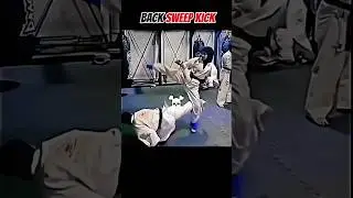Back sweep kick technique #kicktechniques #kicking #mma