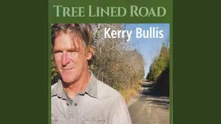 Tree Lined Road