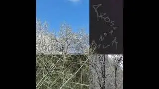 lorda - Cherna Magiq