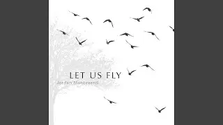 Let Us Fly