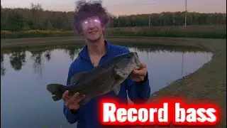 Record Bass caught!!! Pond record!!!! WNY bass fishing 