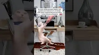 Приходи учиться в Online Class, чтобы таких ситуаций точно не было!  #английскийонлайн #английский