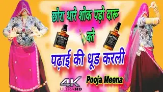 छोरा थारे शोक पड़ो दारू 🍾को पढ़ाई की धूड करली | Meena Dance Non-Stop | New Viral Rajasthani Song 2026