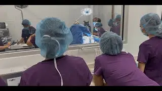 Tampa Bay Tech Students Assist in First On-Campus Vet Surgery
