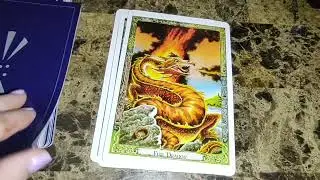 Unboxing the Druid Animal Oracle Deck!