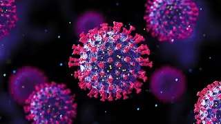 Infectious disease physician discusses travel and the latest on treatment for COVID-19