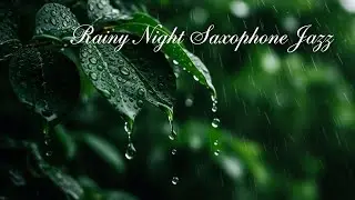 Elegant Peaceful Rainy Jazz 🌧 Sweet Night Saxophone   Smooth Instrumental for Relaxation