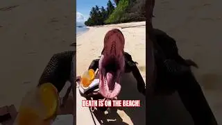 NEVER Take a Beach Nap Alone!💀 #pov #komodo #scary