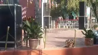 jaycee negi lavi live video 2.11.2017 kinnaur peo