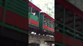 Timbertown Railway: A Journey Through History
