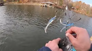 Lake Anna Striper Fishing 2021