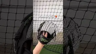 🐘 Elephant Print 44 Pro Custom Glove
