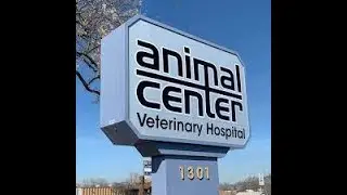 Zeke Injured - Recovery Check After (Minor) Emergency Surgery