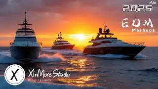 The Ultimate New Funky Disco House Mix 🎶 Best Vibes Ever | Pure Positivity & Dance Energy