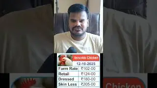 12-10-2025 Updates | Vencobb Chicken and Eggs price