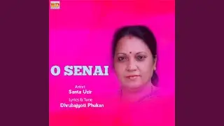 O Senai