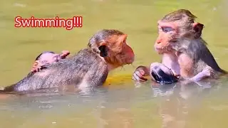 So Adorable Moments Of Mommy With Baby Monkey Playing Water