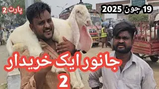 JANWAR 1 KHAREEDAR 2 | Naseeb Ka Soda | Live Soda | Kitne Ka Liya | Kajla Chatra | Desi Bakra