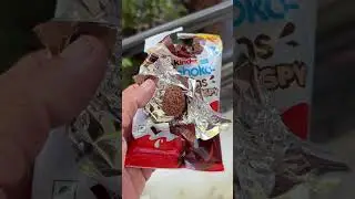 🍫 Kinder Schoko-Bons Crispy (₹40) #food #lifeisbutadream #travel