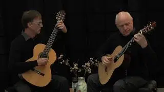 Peter Meier, guitar - Albatros (guitar duet)