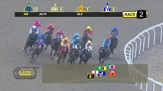 RELENTLESS (AUS) -  SINGAPORE $75,000 1200M WFA MAIDEN 10/10/2020