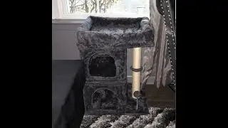 24INCH Cat Tree Tower with Scratching Post with two condo cubbies and window perch REVIEW