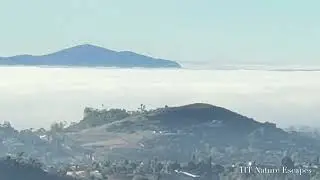 Dreamy Sea of Fog and Peaceful Hidden Mountain View from Deer Park Monastery Escondido California 4K