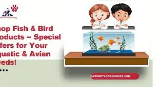 Shop Fish & Bird Products &ndash; Special Offers for Your Aquatic & Avian Needs