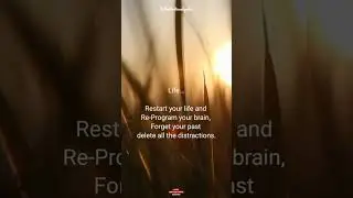 life quotes | motivational quotes | motivational status video. #motivation #quotes #shorts