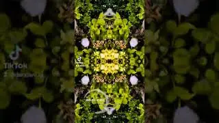 NFT_124..!!!