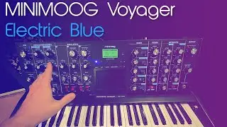 Moog Minimoog Voyager Electric Blue | Recenzja - Analog Monster?
